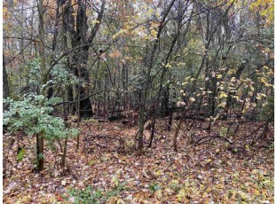 LOT 3 Clark Street Stevens Point, WI 54482