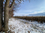 LOT 17 Stockton Road Stevens Point, WI 54482