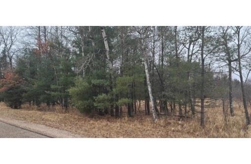 80 ACRES County Road I, Rosholt, WI 54473