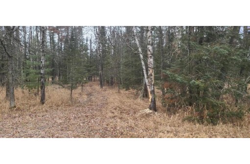 80 ACRES County Road I, Rosholt, WI 54473