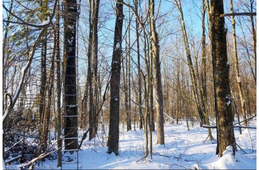 +/-159 ACRES County Road I, Ogema, WI 54459