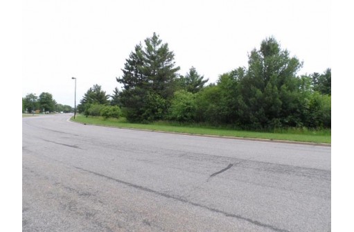 LOT #1 Apple Street, Wisconsin Rapids, WI 54494