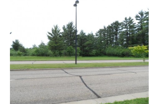 LOT #1 Apple Street, Wisconsin Rapids, WI 54494