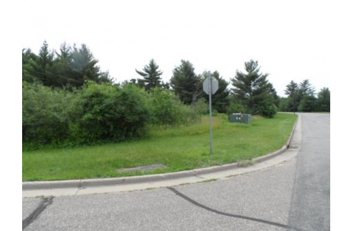 LOT #1 Apple Street, Wisconsin Rapids, WI 54494