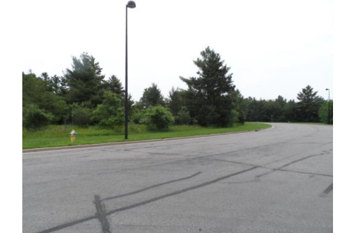 LOT #1 Apple Street, Wisconsin Rapids, WI 54494