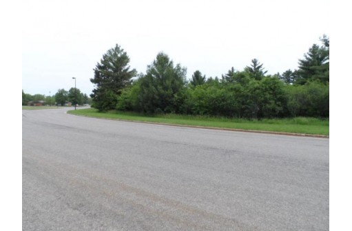 LOT #1 Apple Street, Wisconsin Rapids, WI 54494