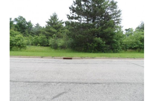 LOT #1 Apple Street, Wisconsin Rapids, WI 54494