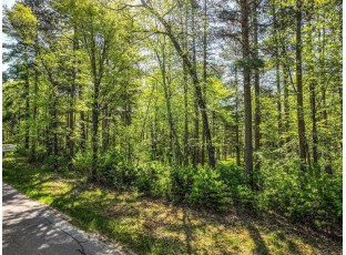 LOT 16 Selmer Road Tomahawk, WI 54487