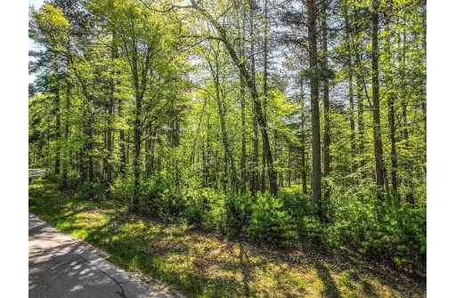 LOT 16 Selmer Road, Tomahawk, WI 54487