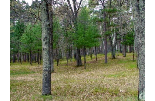 LOT 16 Selmer Road, Tomahawk, WI 54487