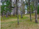 LOT 16 Selmer Road, Tomahawk, WI 54487