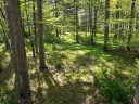 LOT 16 Selmer Road, Tomahawk, WI 54487