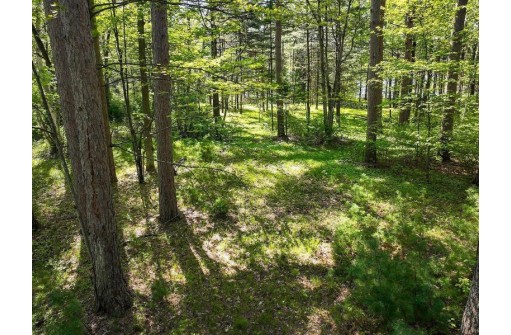 LOT 16 Selmer Road, Tomahawk, WI 54487