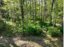 LOT 16 Selmer Road, Tomahawk, WI 54487