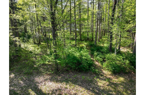 LOT 16 Selmer Road, Tomahawk, WI 54487