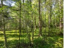 LOT 16 Selmer Road, Tomahawk, WI 54487