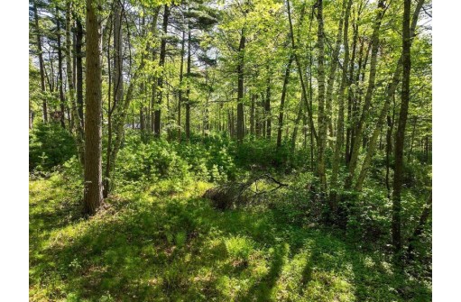 LOT 16 Selmer Road, Tomahawk, WI 54487