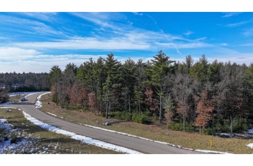 LOT 1 East Shore Trail, Wisconsin Rapids, WI 54494