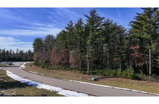 LOT 1 East Shore Trail, Wisconsin Rapids, WI 54494