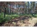 LOT 1 East Shore Trail, Wisconsin Rapids, WI 54494