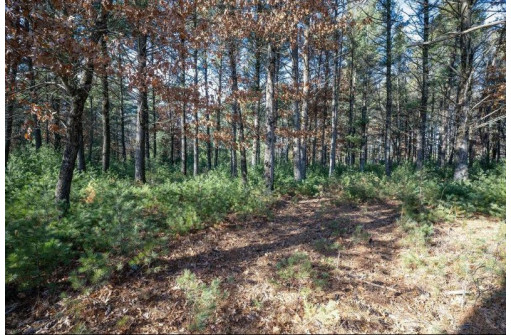 LOT 1 East Shore Trail, Wisconsin Rapids, WI 54494