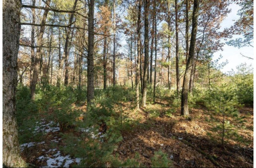 LOT 1 East Shore Trail, Wisconsin Rapids, WI 54494