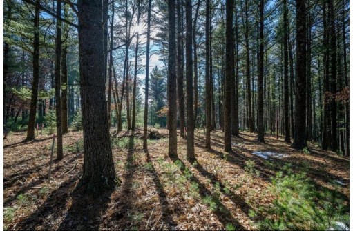 LOT 1 East Shore Trail, Wisconsin Rapids, WI 54494