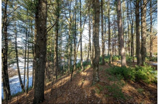 LOT 1 East Shore Trail, Wisconsin Rapids, WI 54494