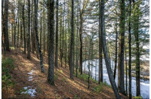 LOT 1 East Shore Trail, Wisconsin Rapids, WI 54494