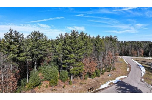 LOT 1 East Shore Trail, Wisconsin Rapids, WI 54494