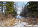 +/- 56.37 ACRES County Road O, Medford, WI 54451