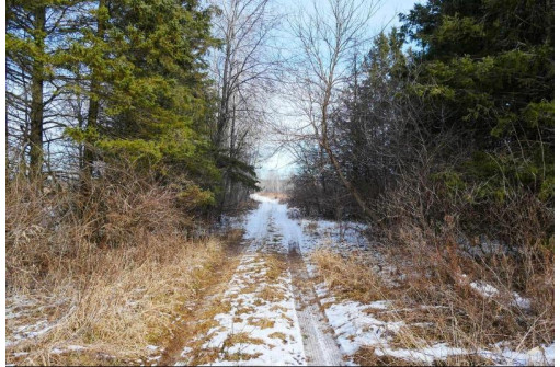 +/- 56.37 ACRES County Road O, Medford, WI 54451