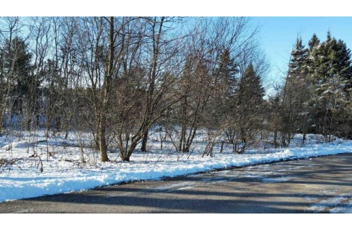 LOT 1 Custer Square, Stevens Point, WI 54482