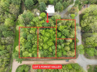 LOT 1 Forest Valley Road