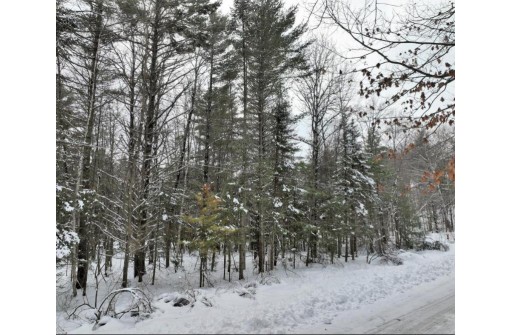 LOT 1 Forest Valley Road, Wausau, WI 54403