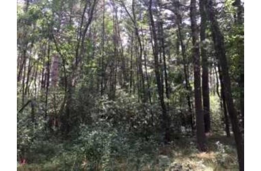 LOT 70 Campfire Trail, Wisconsin Rapids, WI 54494