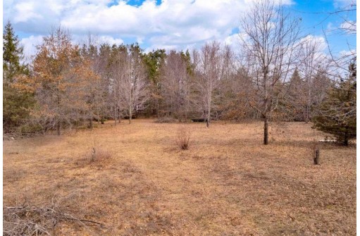 LOT 08 West River Road, Mosinee, WI 54455