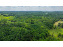 81 ACRES Birch Drive, Mosinee, WI 54455