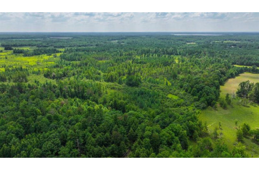 81 ACRES Birch Drive, Mosinee, WI 54455