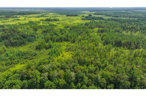 81 ACRES Birch Drive, Mosinee, WI 54455