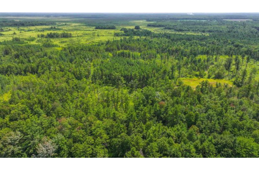 81 ACRES Birch Drive, Mosinee, WI 54455