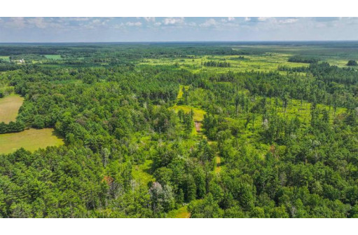 81 ACRES Birch Drive, Mosinee, WI 54455