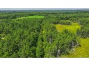 81 ACRES Birch Drive, Mosinee, WI 54455