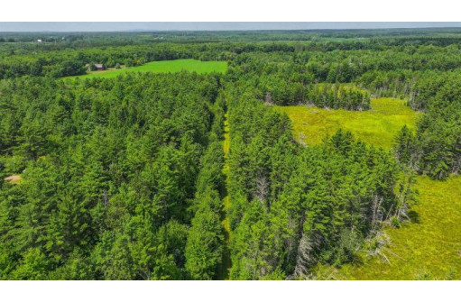 81 ACRES Birch Drive, Mosinee, WI 54455