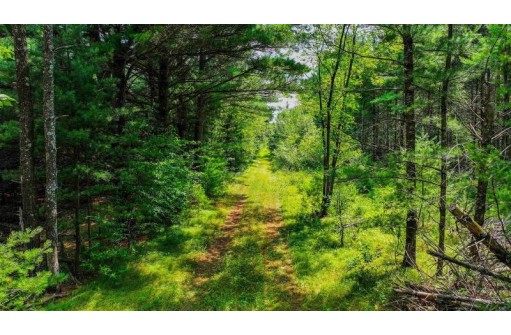 81 ACRES Birch Drive, Mosinee, WI 54455