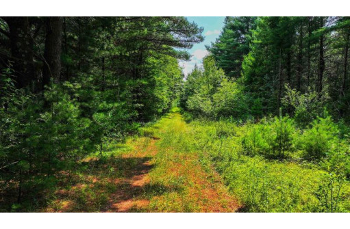 81 ACRES Birch Drive, Mosinee, WI 54455