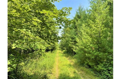 81 ACRES Birch Drive, Mosinee, WI 54455