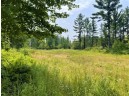 81 ACRES Birch Drive, Mosinee, WI 54455