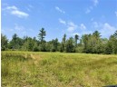 81 ACRES Birch Drive, Mosinee, WI 54455