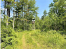 81 ACRES Birch Drive, Mosinee, WI 54455